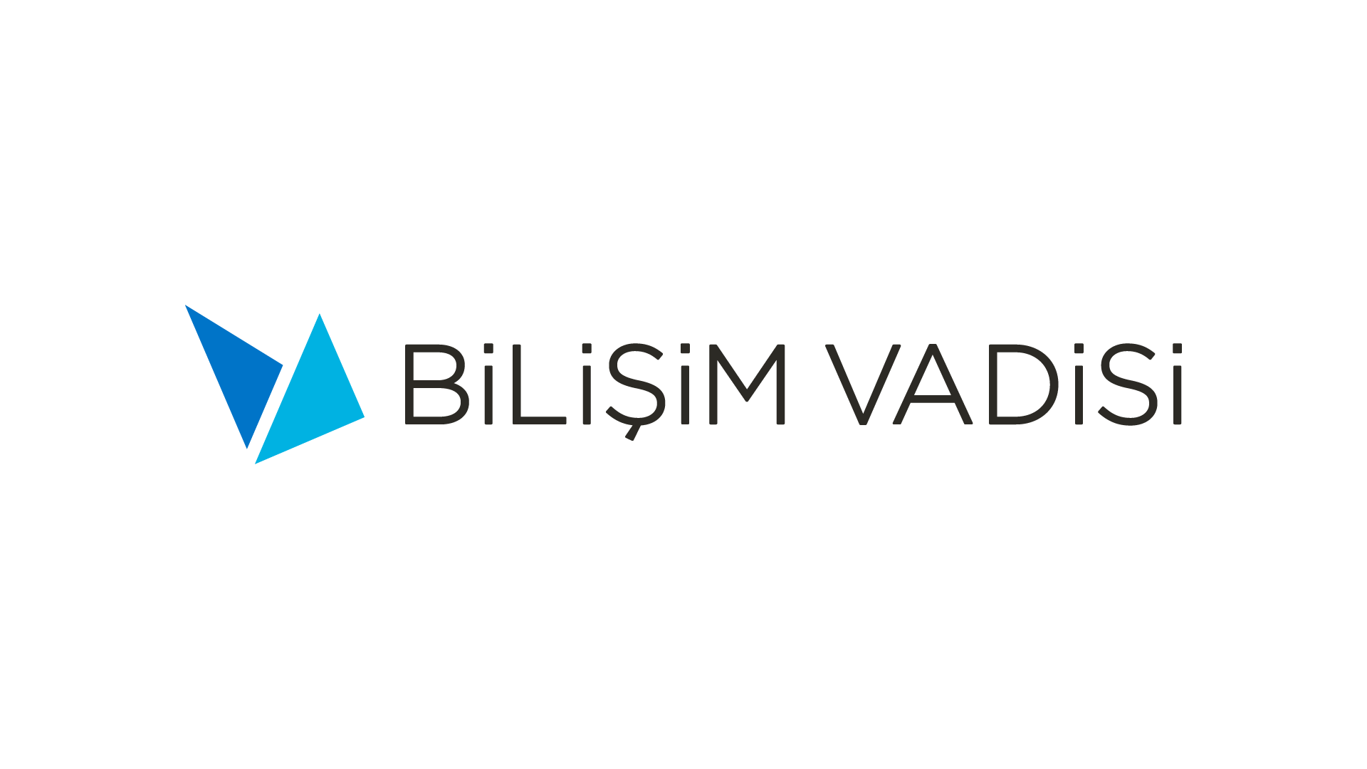 bilisim vadisi